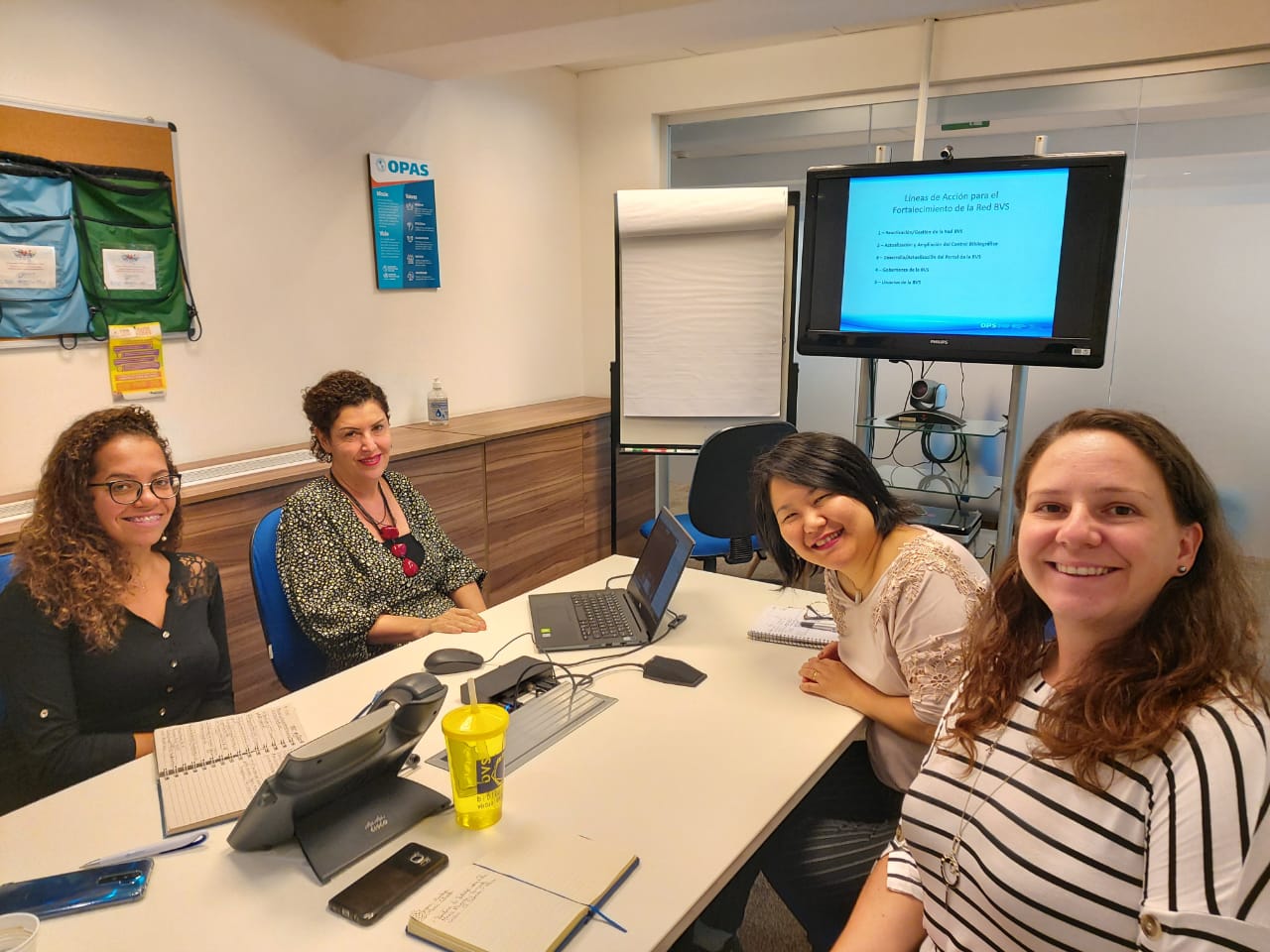 equipo-reunion-RedBVS-plan-accion-2020-2